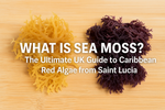 Jar of Saint Lucian sea moss gel with dried Caribbean red algae and lime on a kitchen counter, representing Irie Sea Moss’s UK guide to sea moss benefits and origins