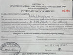 phytosanitary certificate