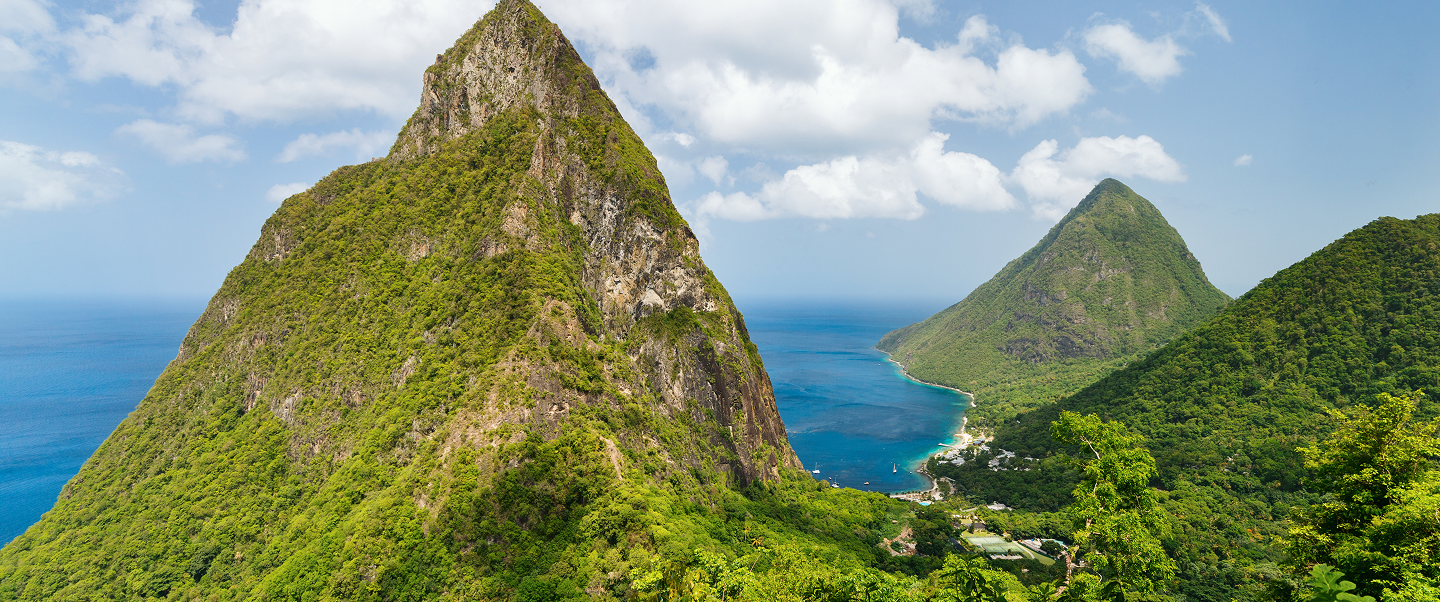 Harvested From St Lucia Waters